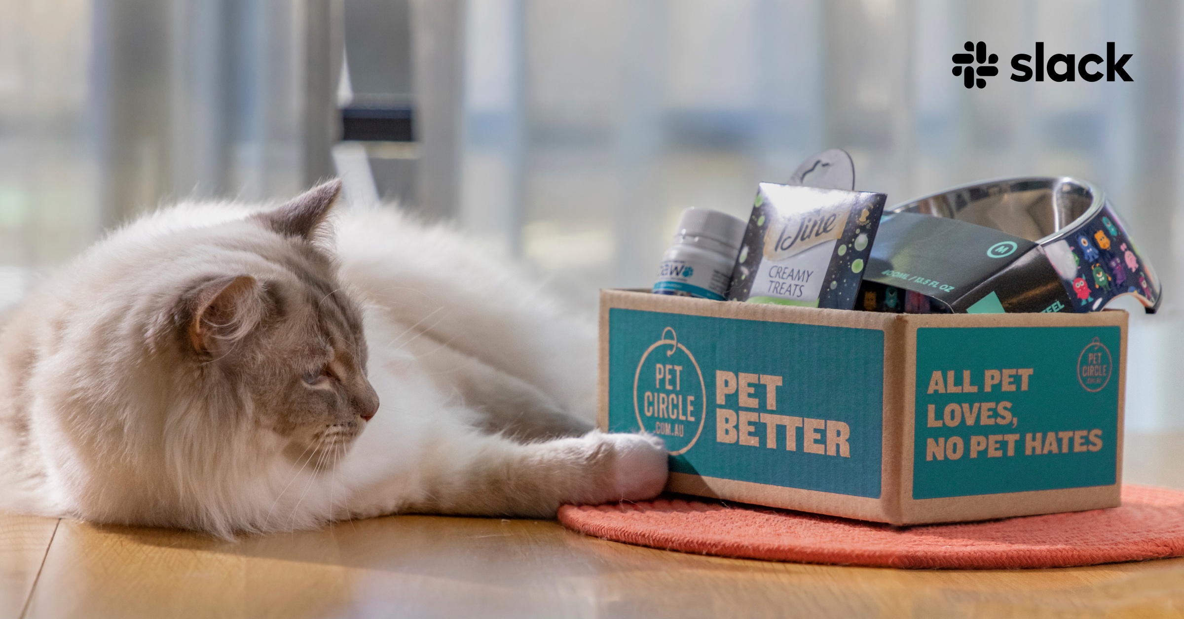 How Pet Circle cut email usage in half with Slack Slack