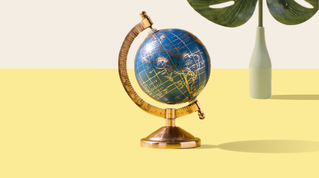 A globe with a plant in the background