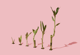 Achieve growth with Slack