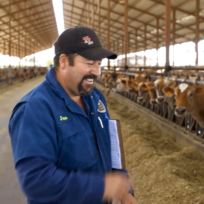 Homme tenant un bloc-notes dans une étable abritant des vaches